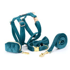 Fluwelen Diamond Tuig En Riem Voor Honden - Ruffy