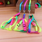 Regenboog Hondenharnas en Riem Set Verstelbaar Duurzaam Ergonomisch Ontwerp 120cm Riem - Ruffy