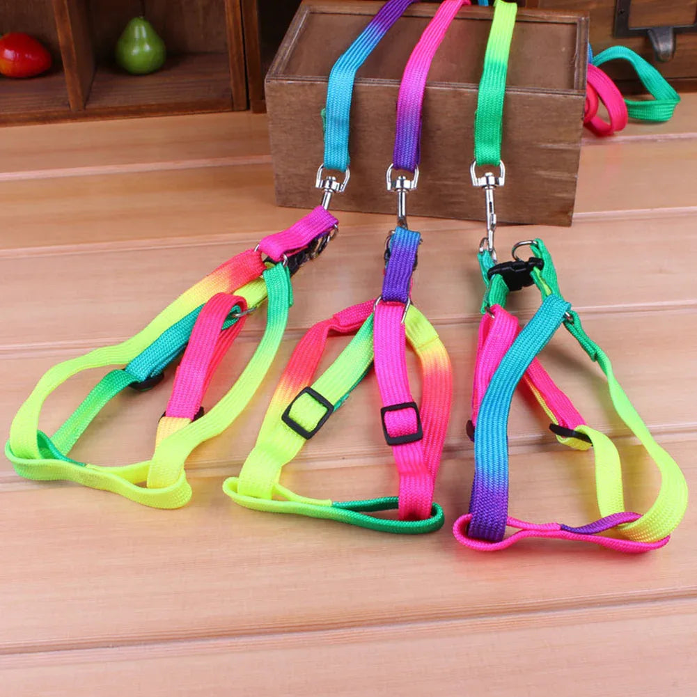Regenboog Hondenharnas en Riem Set Verstelbaar Duurzaam Ergonomisch Ontwerp 120cm Riem - Ruffy