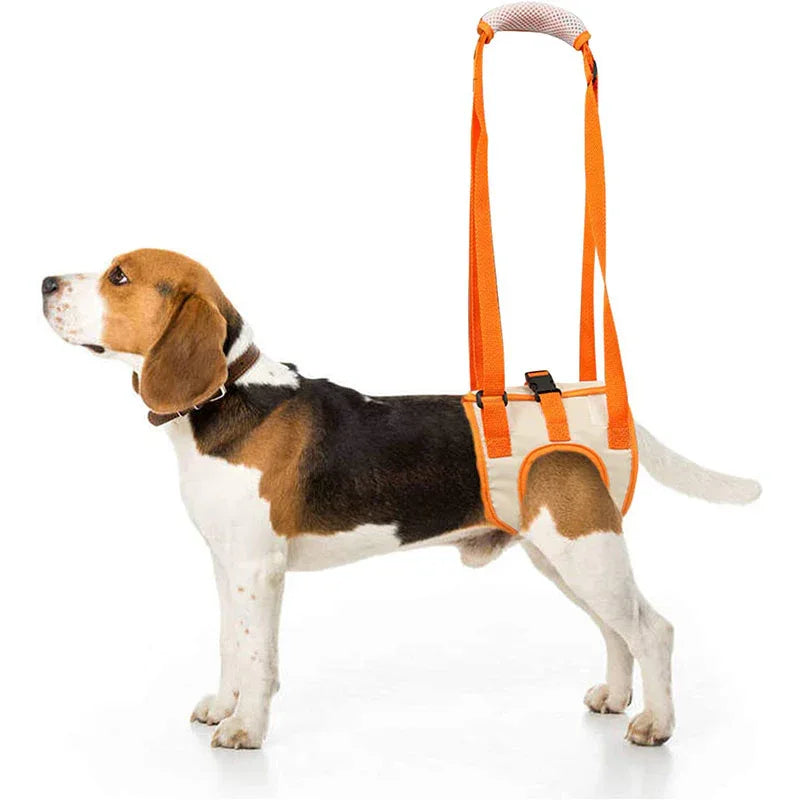 Honden Harnas Slinger Rugpoten Heupsteun - Ruffy