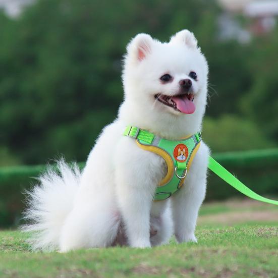 Reflecterend Hondenharnas Voor Kleine Honden Veiligheid Comfort Verstelbaar Dubbele Vergrendeling Polyestermix - Ruffy