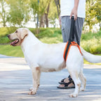 Hondenbeen Hulp Riem - Ruffy