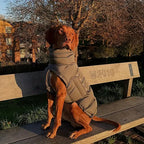 Waterdichte Winterjas voor Honden Warm Verstelbaar met Reflecterende Strips Machinewasbaar - Ruffy