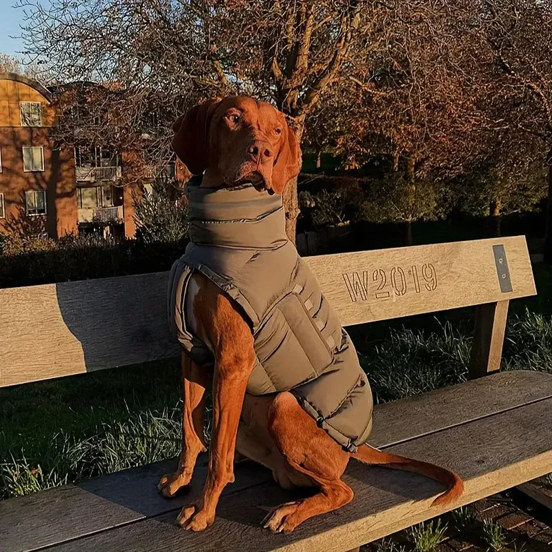 Waterdichte Winterjas voor Honden Warm Verstelbaar met Reflecterende Strips Machinewasbaar - Ruffy