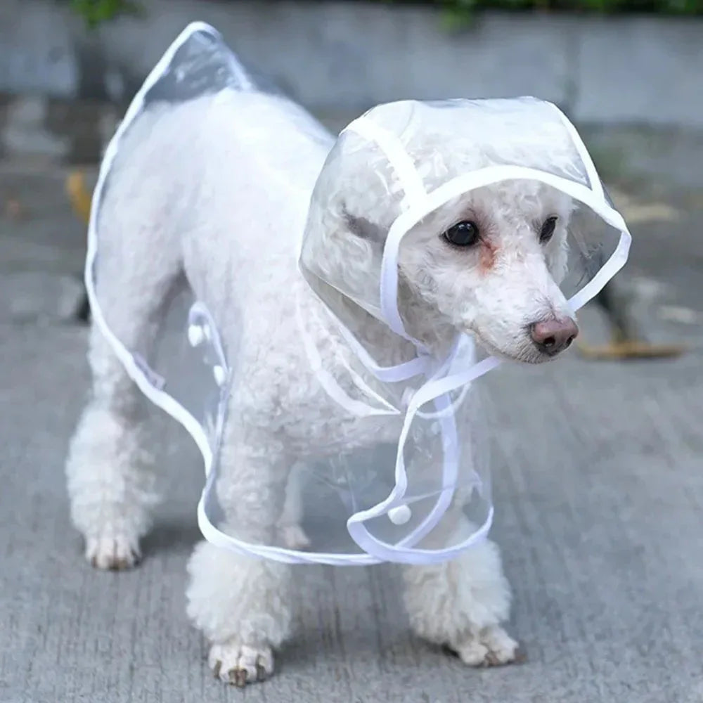Transparante Regenjas voor Kleine Honden Waterdichte Poncho Duurzaam en Stijlvol - Ruffy