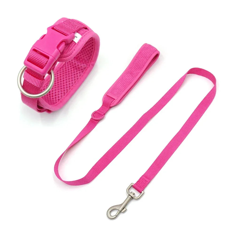 Complete hondenset Harnas Halsband Leiband en Poepzakhouder Verstelbaar en Stijlvol - Ruffy