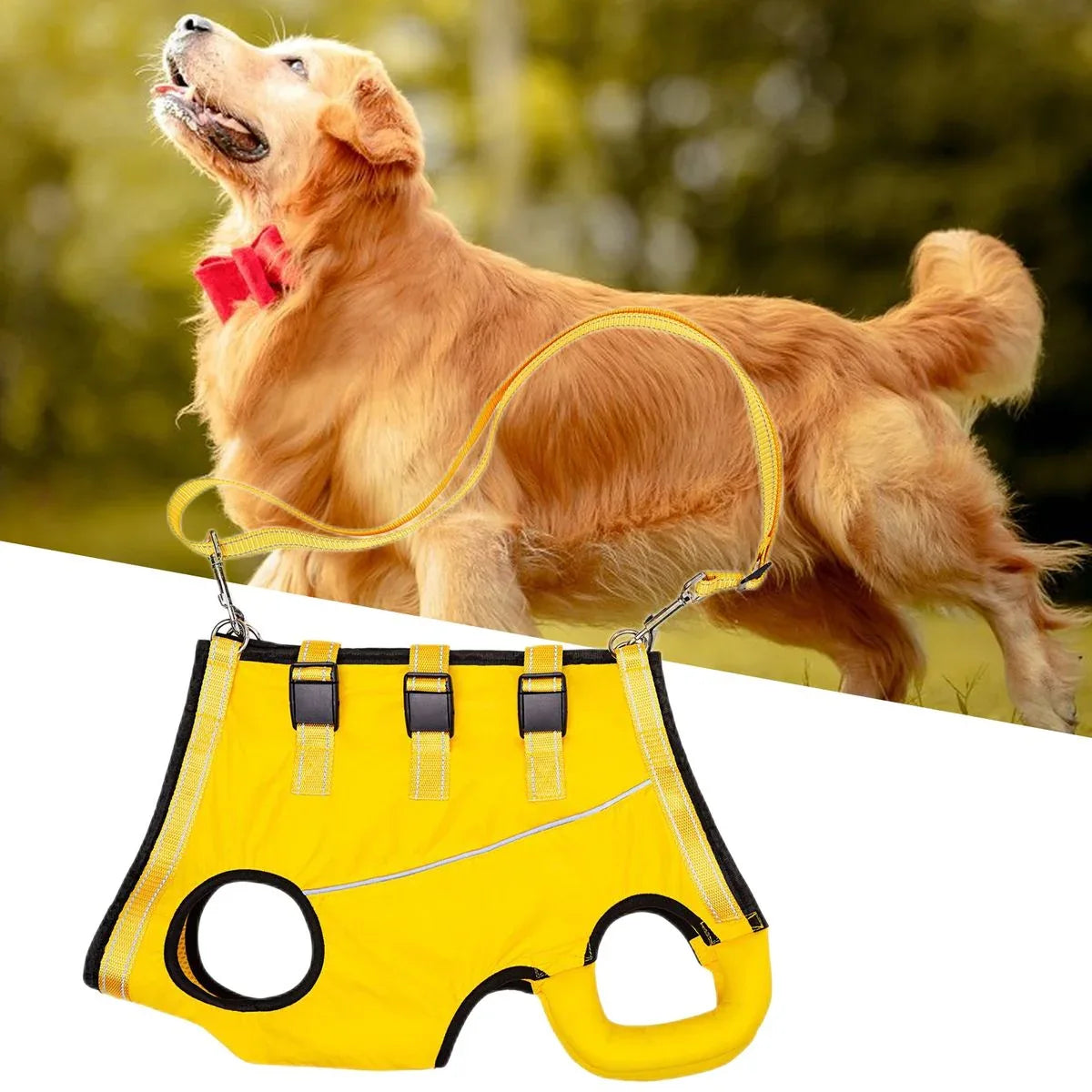 Ondersteunend Tuig Voor Herstellende Honden Artrose & Operaties - Ruffy