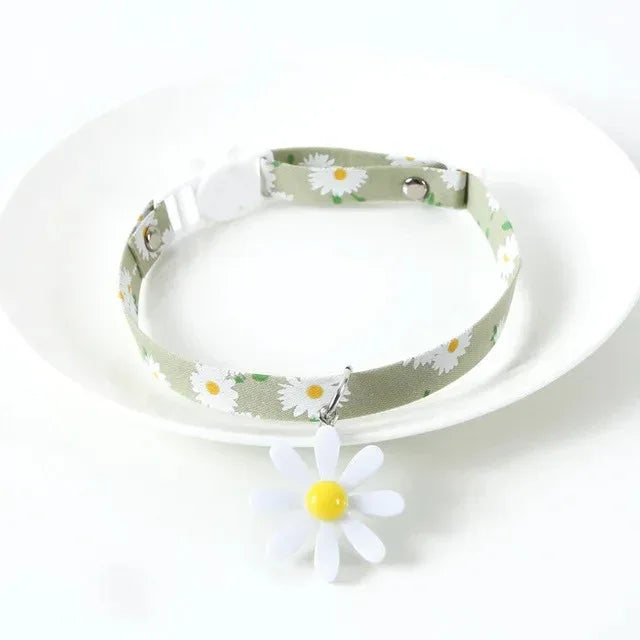 Verstelbare kattenhalsband met snelsluiting en ingebouwde bel – leuk en duurzaam fluwelen ontwerp - Ruffy