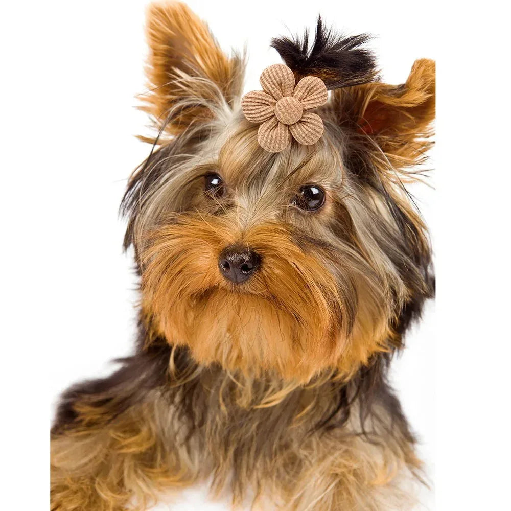 Voorjaarsstrikken Voor Honden en Katten Charmante Bloemenaccessoires Gemakkelijk Te Gebruiken Stijlvol Mix van Kleuren - Ruffy