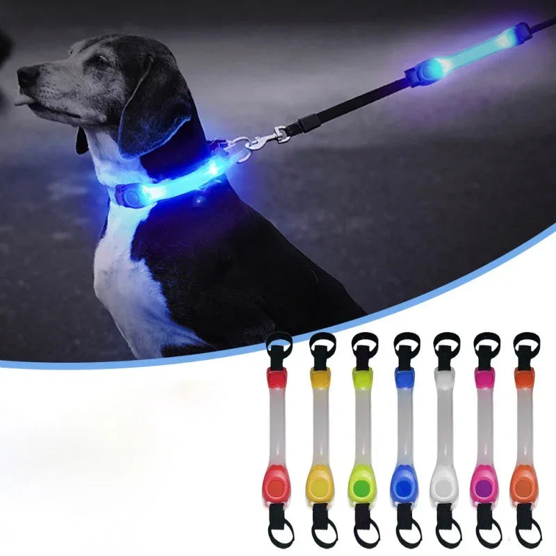 Lichtgevende Honden Halsband LED Veiligheid - Ruffy