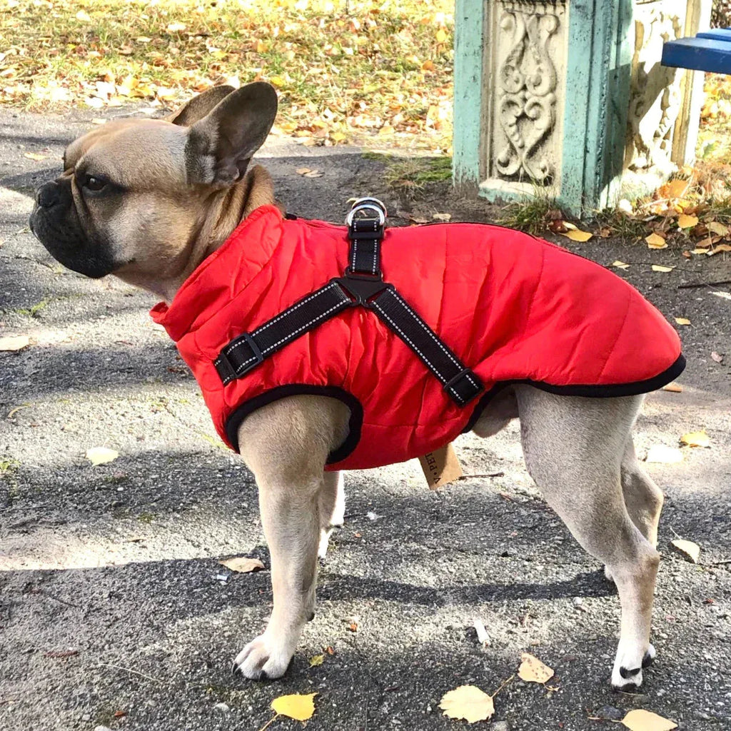 Regenjas Hond Waterdicht Met Warme Fleece En Ingebouwd Tuigje - Ruffy