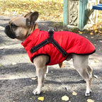 Regenjas Hond Waterdicht Met Warme Fleece En Ingebouwd Tuigje - Ruffy