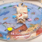 Lichtgewicht verkoelende Pet Mat met Duurzaam PVC Handwasbaar Ontwerp voor Zomer Comfort - Ruffy