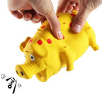 Squeaky Leuk Varken Hondenspeelgoed - Ruffy