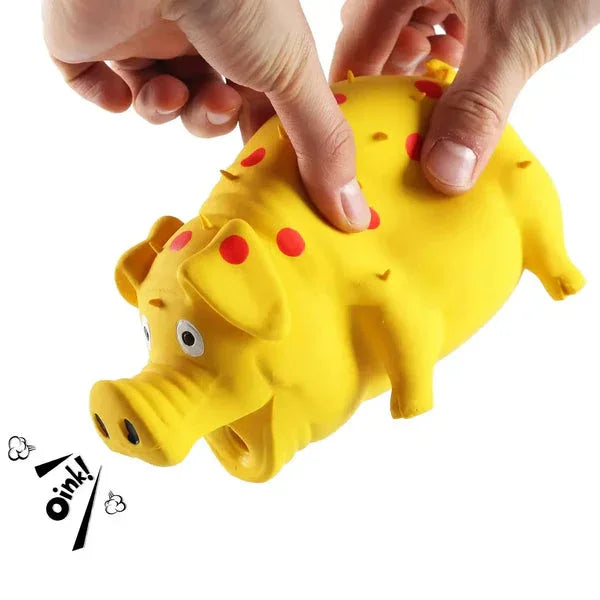 Squeaky Leuk Varken Hondenspeelgoed - Ruffy