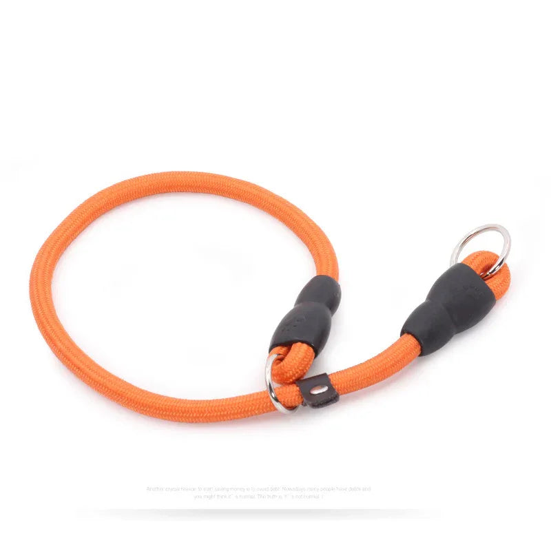 Hondendressuurhalsband | Anti-Rek Slipdesign | Duurzaam Nylon | Verstelbare Pasvorm - Ruffy