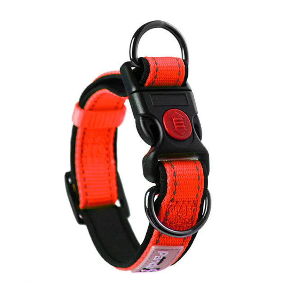 Reflecterende Nylon Halsband Zacht Gewatteerd Verstelbaar Veilig Voor Alle Hondenmaten - Ruffy