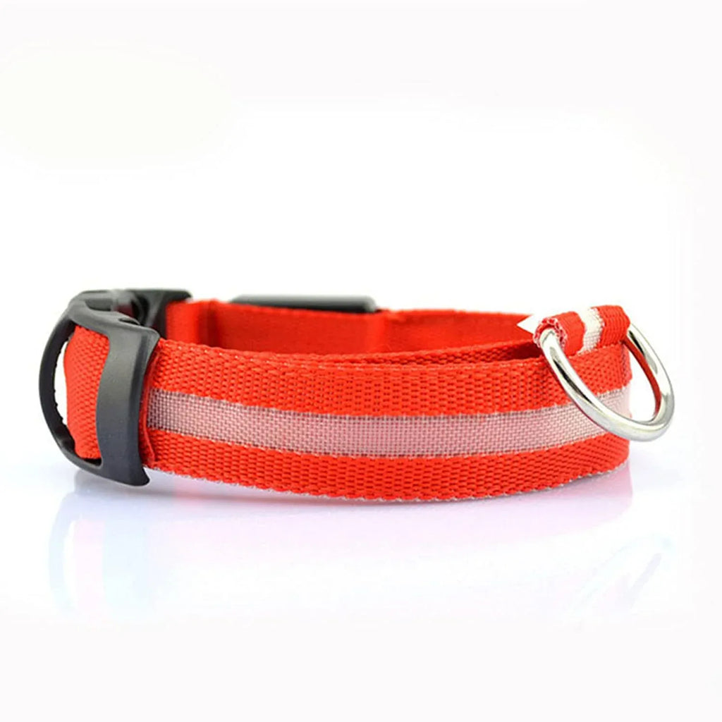 Lichtgevende, Veilige LED-halsband - Ruffy