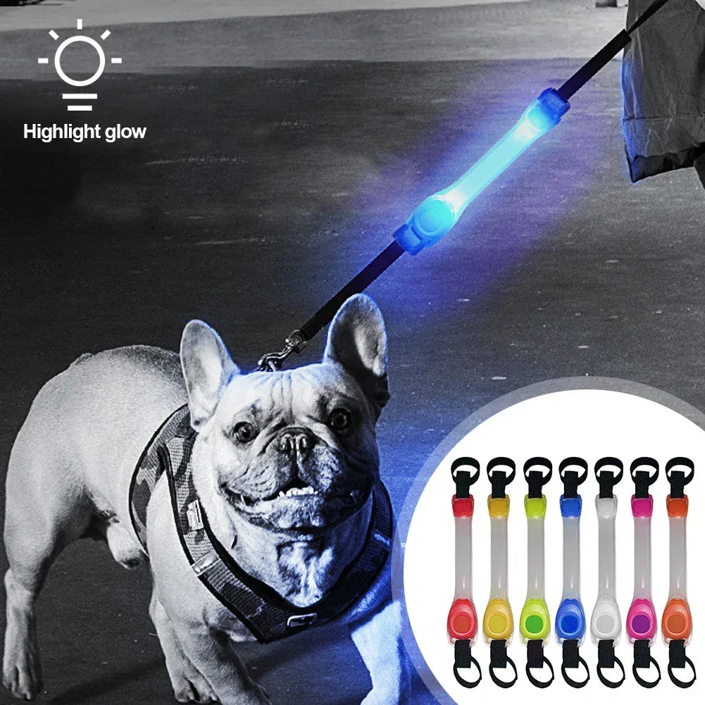 Lichtgevende Honden Halsband LED Veiligheid - Ruffy