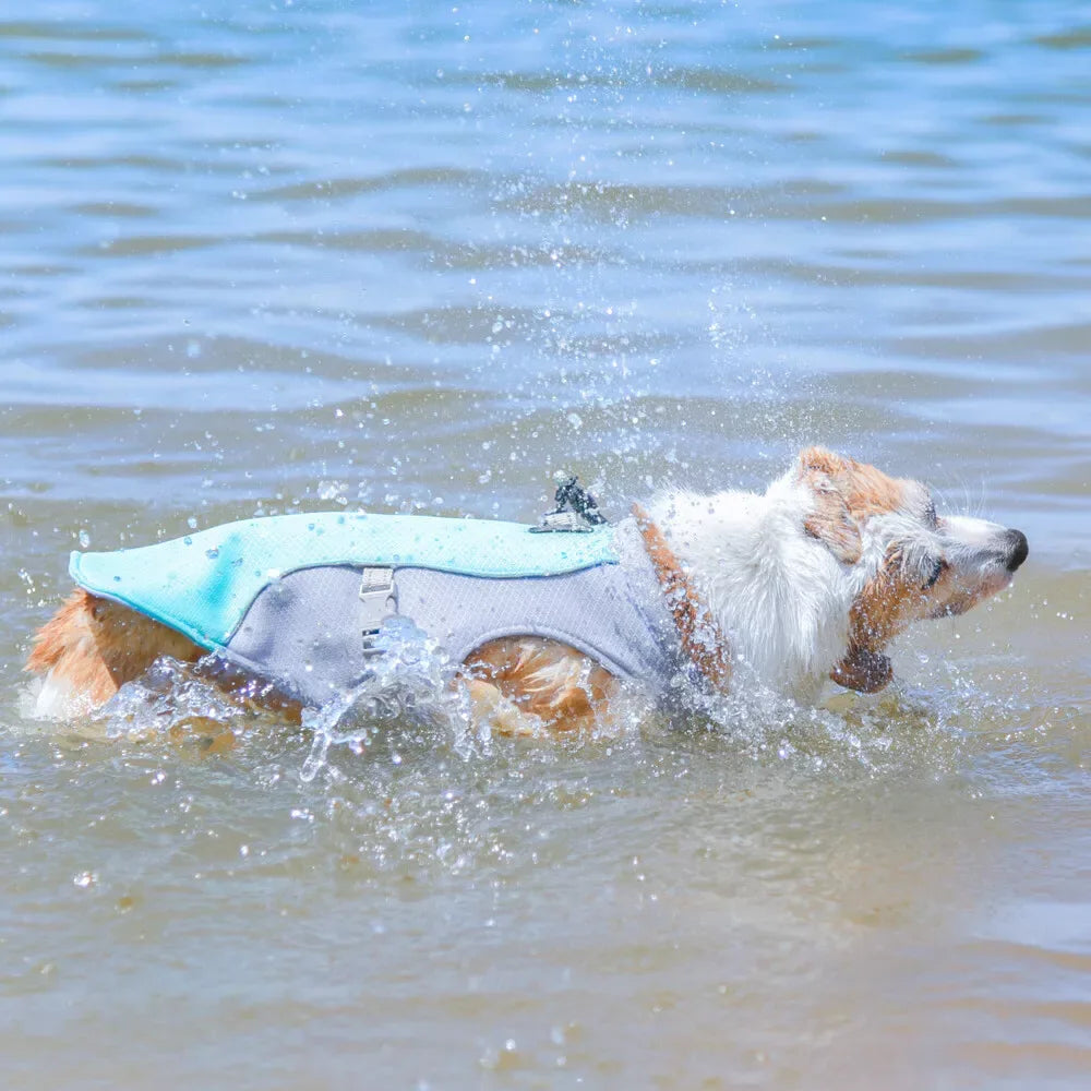 Zomervest voor Honden Ademend Reflecterend Snelsluiting Beschikbaar in XXS tot XXL - Ruffy