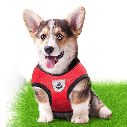 Ademend Hondentuig voor kleine honden - Ruffy