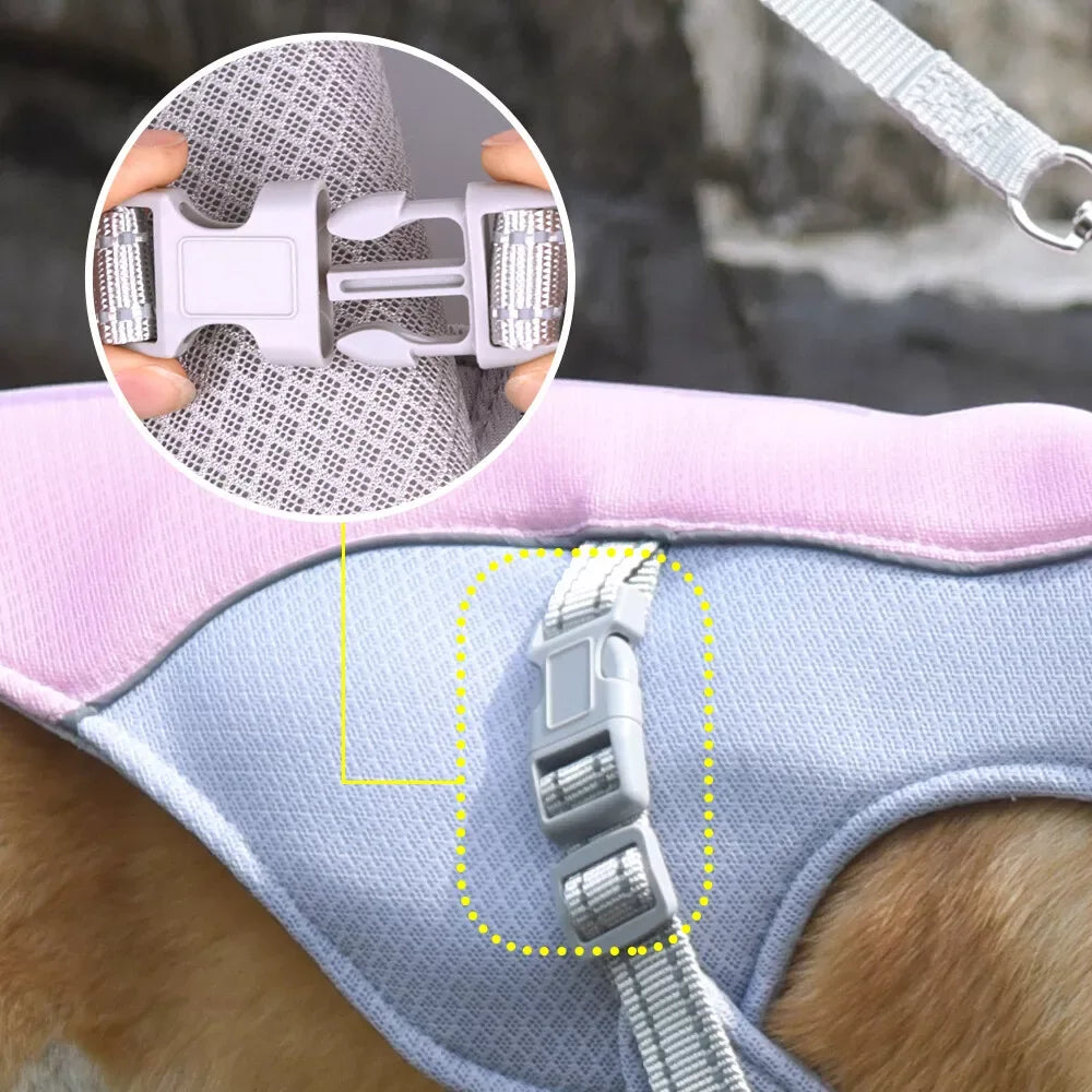 Zomervest voor Honden Ademend Reflecterend Snelsluiting Beschikbaar in XXS tot XXL - Ruffy