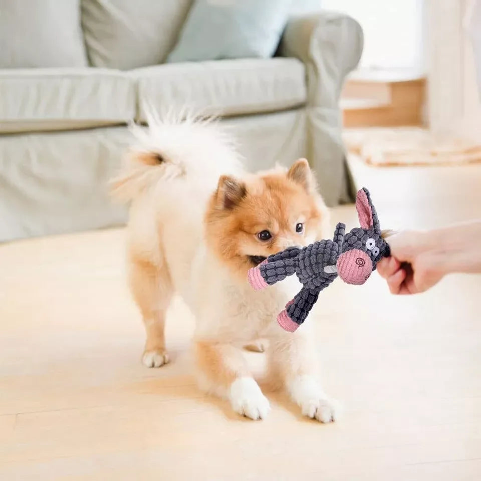 Hond Speelgoed Sterk En Stressverlichtend - Ruffy