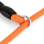 Nylon Treksluit Halsbanden Riem Voor Honden training Sliplead - Ruffy