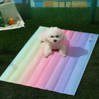 Rainbow Koelmat Voor Huisdieren - Ruffy