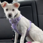 Ontsnap- en Trek Proof Ademend Honden Tuig 3 Bevestigingspunten - Ruffy