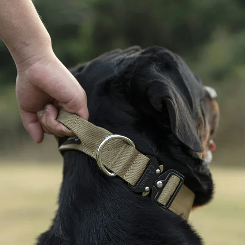 Hondenhalsband | Tactisch Zwaar Ontwerp | Nylon met Controlehandvat - Ruffy