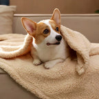Hondendeken | Pluizige Fleece | Zachte Warme Plaid | Machinewaasbaar - Ruffy