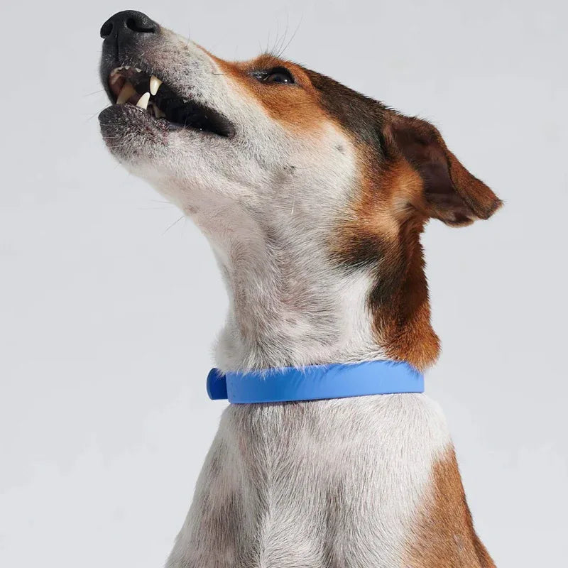 Ruffy Waterbestendige Halsband Voor Honden Slijtvast - Ruffy