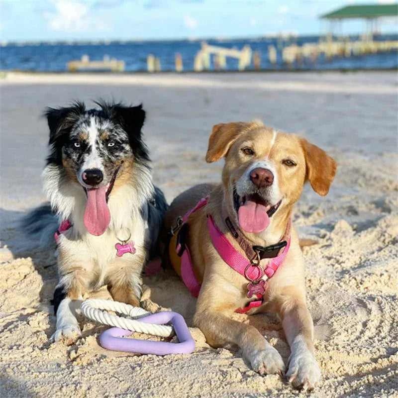 Sterk Honden Speeltje Driehoek Touwtrek - Ruffy